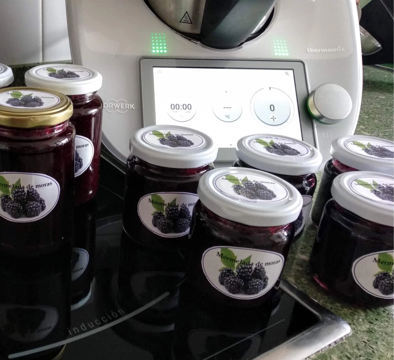 MERMELADA DE MORAS SILVESTRES