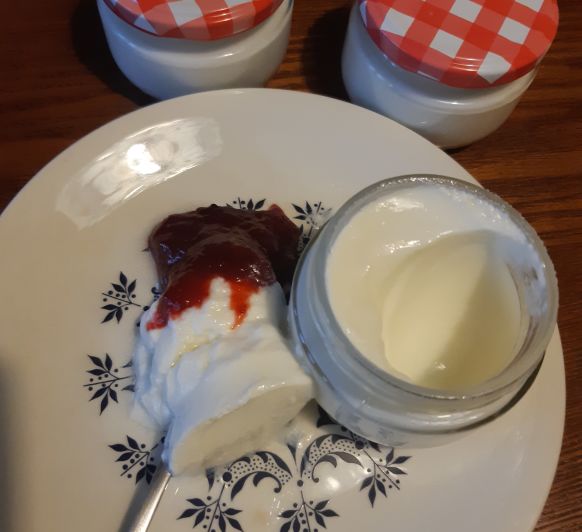 YOGURT CON MERMELADA DE FRESA